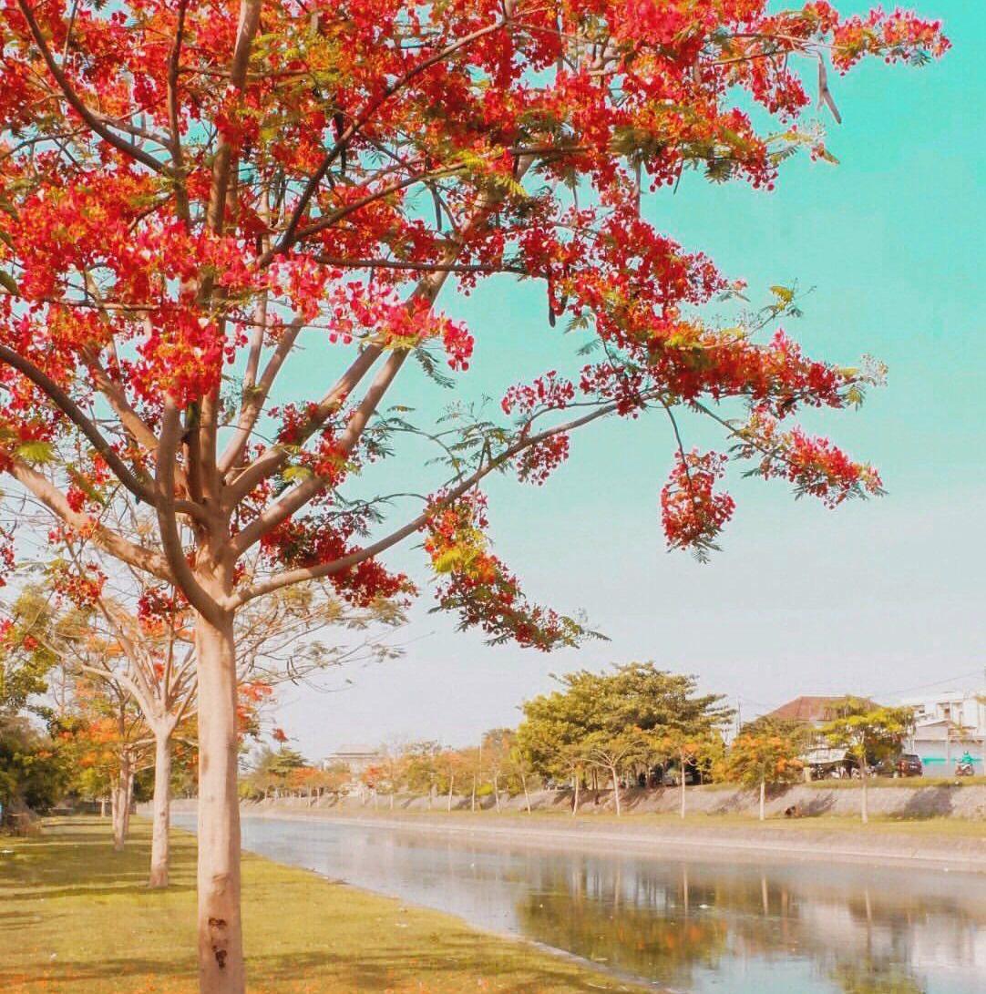 sungai