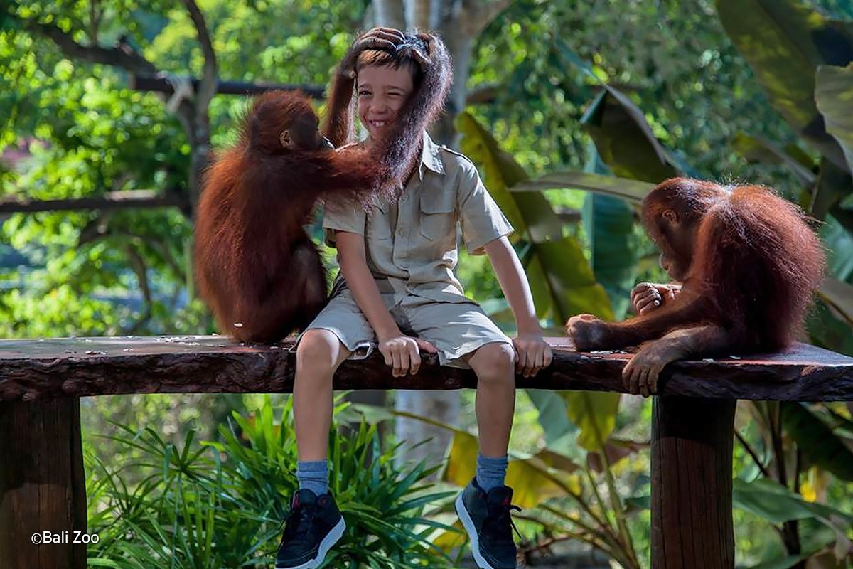 bali zoo