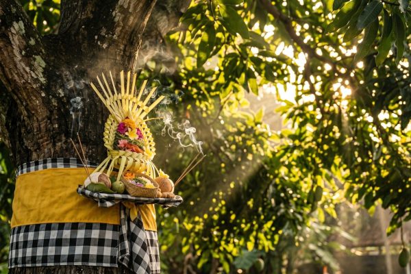 Tumpek Wariga: Ritual Aesthetic, Tapi Lingkungan Bali Makin Tragic?