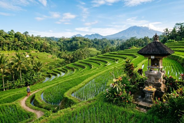 Sembahyang Bhatara Sri di Sawah, Tapi Beras Beli dari Luar Pulau. Ada Apa dengan Ketahanan Pangan Bali?
